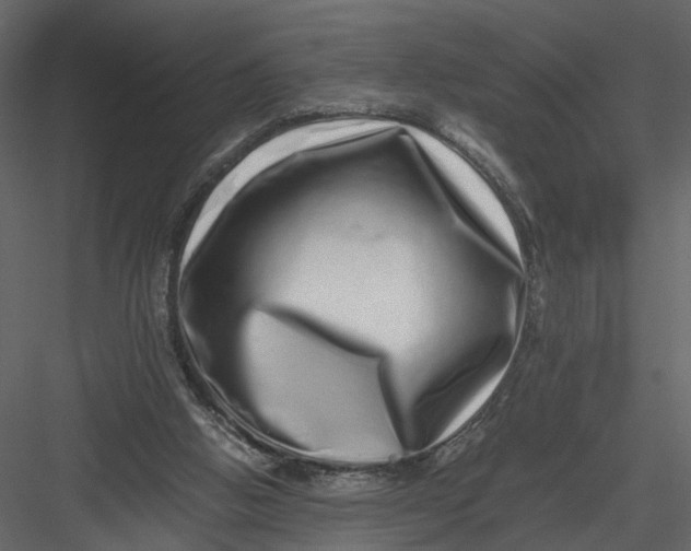 X0000082970058200702230018