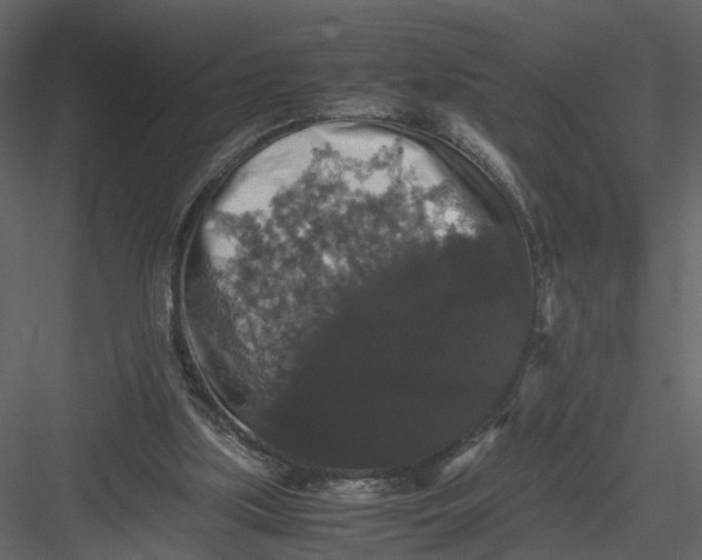 X0000082970059200702230018