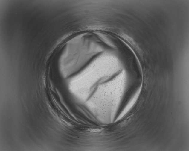 X0000082970060200702230018