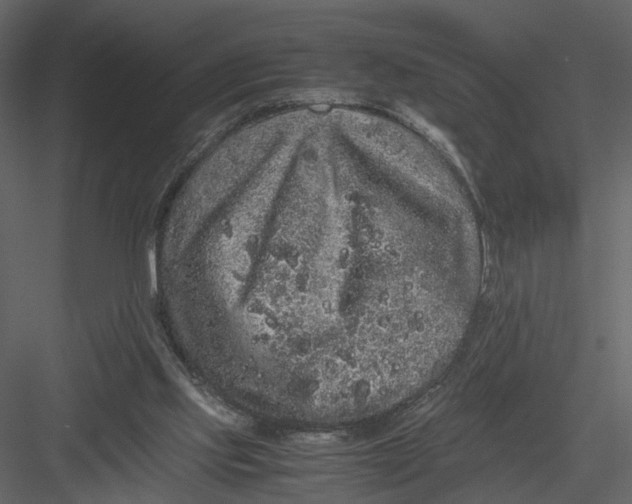 X0000082970061200702230018