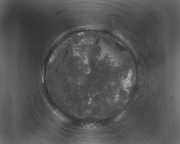 X0000082970062200702230018