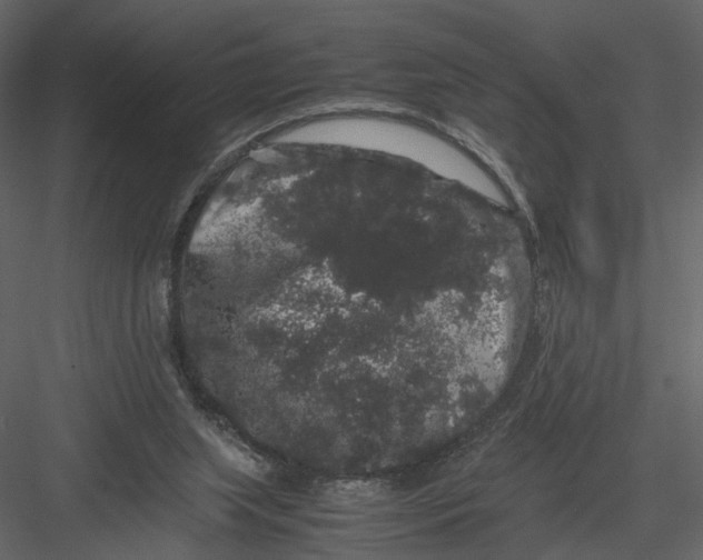 X0000082970063200702230018