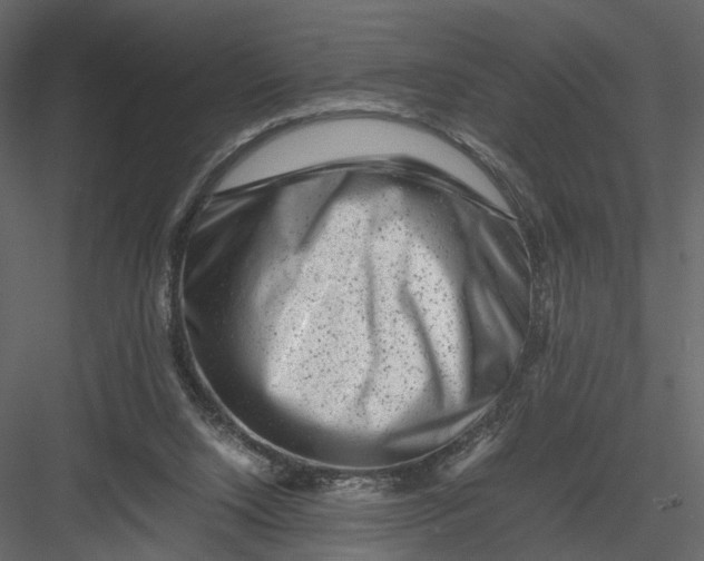 X0000082970064200702230018