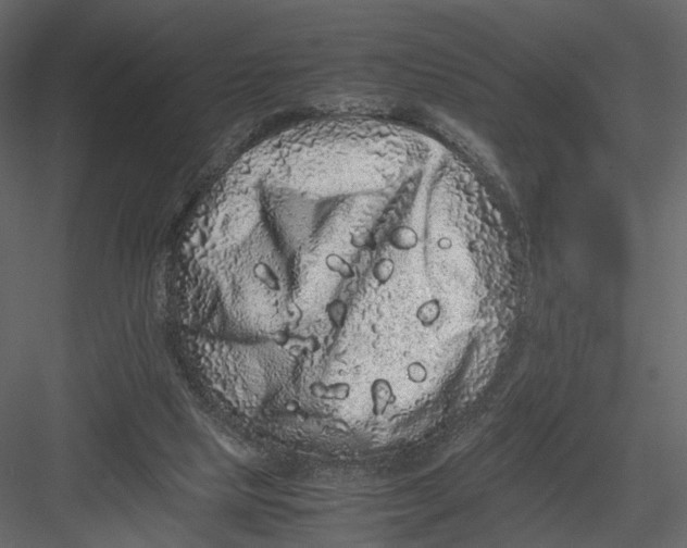 X0000082970065200702230018