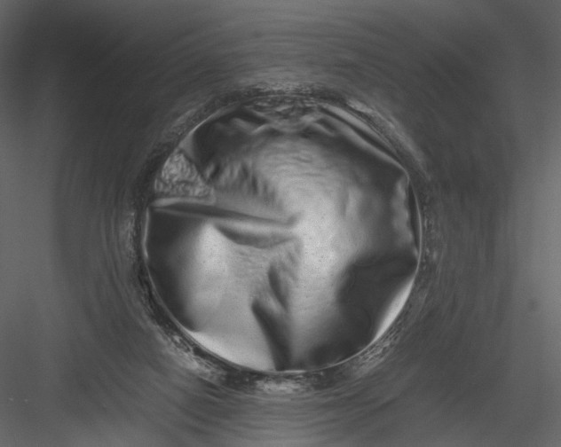 X0000082970066200702230018