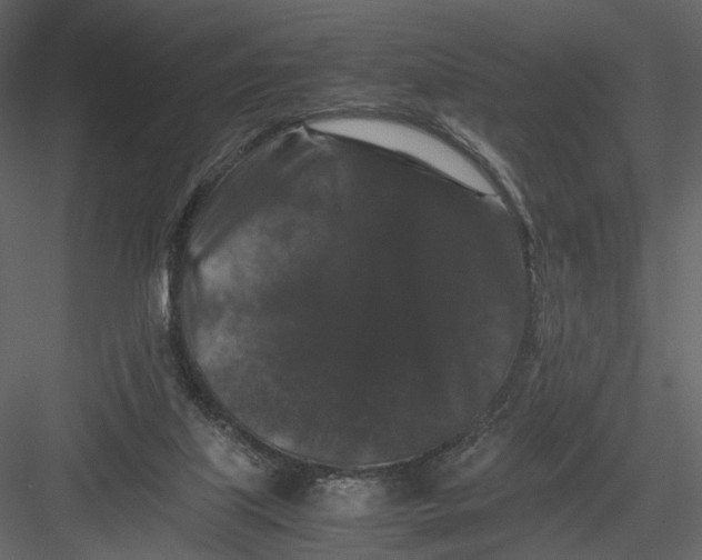 X0000082970067200702230018