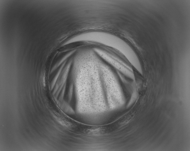 X0000082970068200702230018