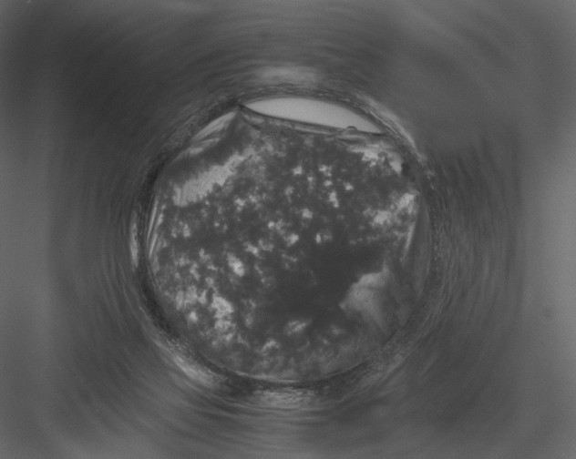 X0000082970069200702230018