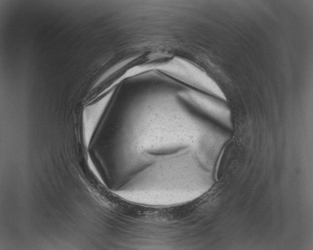 X0000082970070200702230018