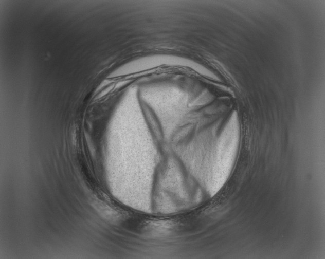 X0000082970071200702230018