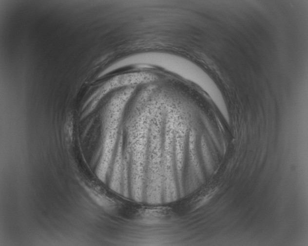 X0000082970072200702230018