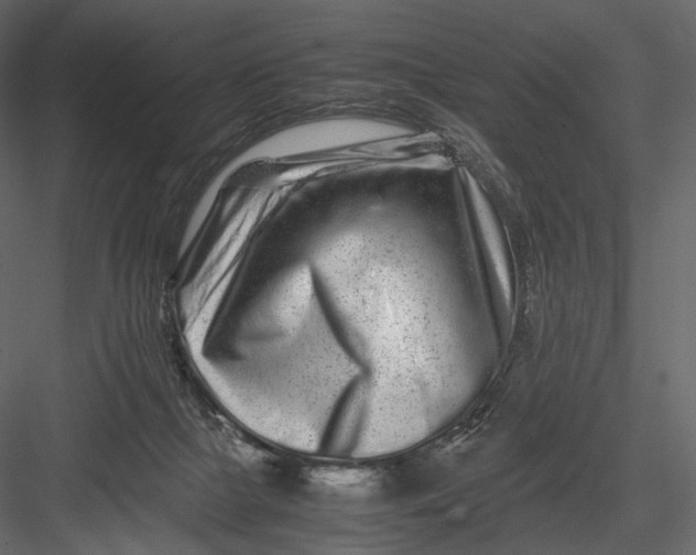 X0000082970073200702230018