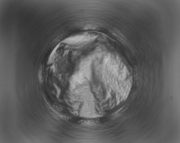 X0000082970074200702230018