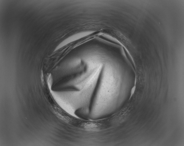 X0000082970075200702230018