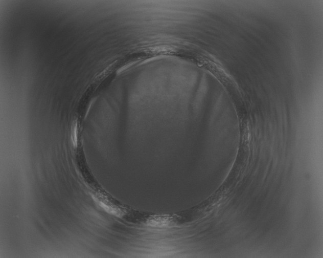 X0000082970076200702230018