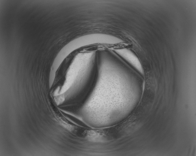 X0000082970077200702230018