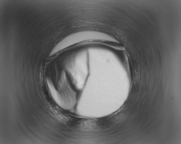 X0000082970078200702230018