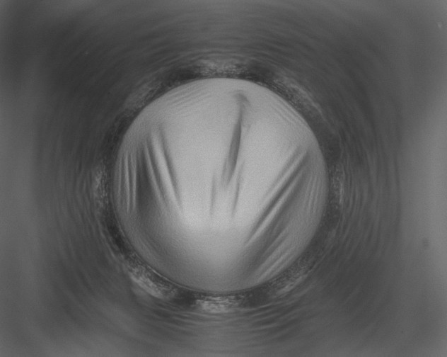 X0000082970079200702230018