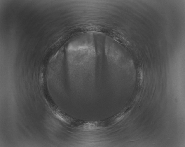 X0000082970080200702230018