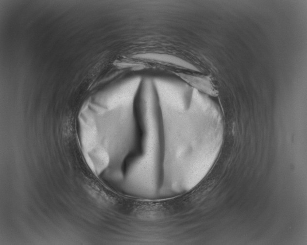 X0000082970081200702230018