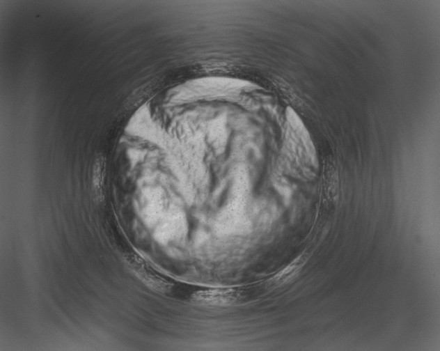 X0000082970082200702230018