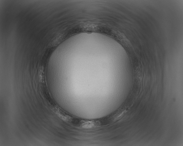 X0000082970083200702230018