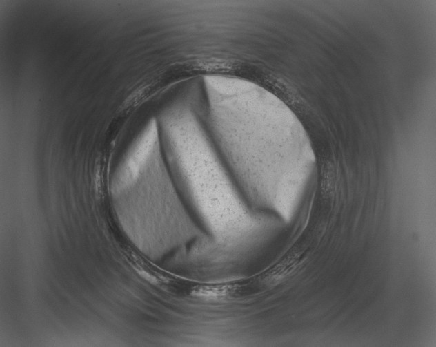 X0000082970084200702230018