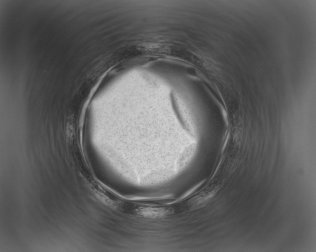 X0000082970085200702230018