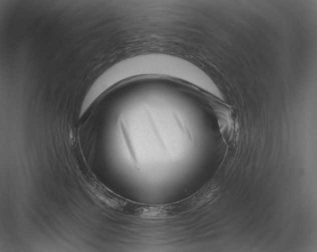 X0000082970088200702230018