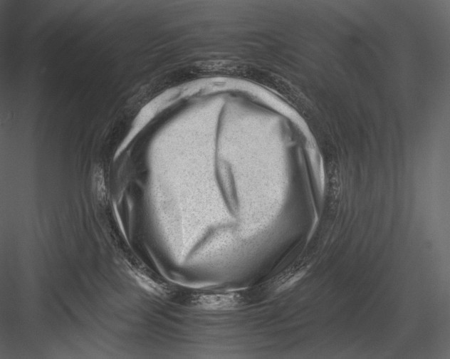 X0000082970089200702230018