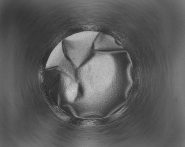 X0000082970090200702230018