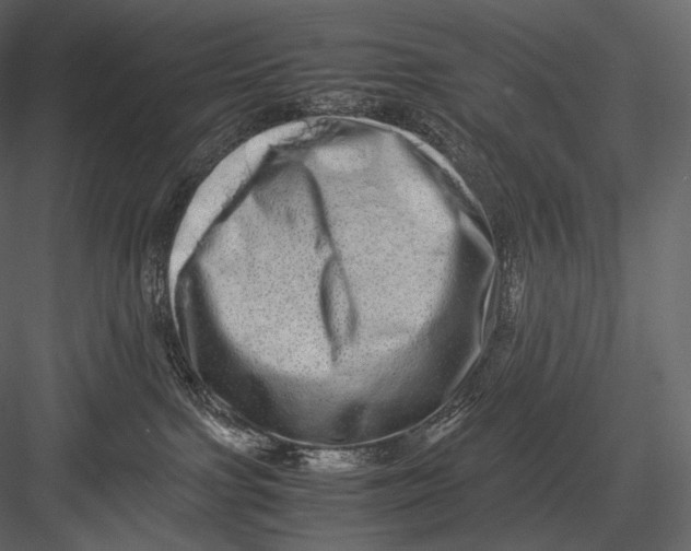 X0000082970091200702230018