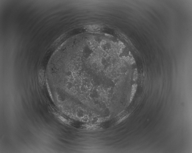 X0000082970093200702230018