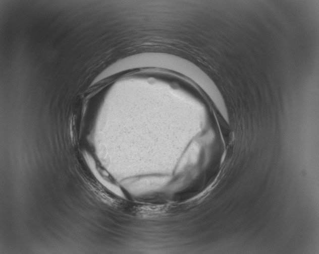 X0000082970094200702230018