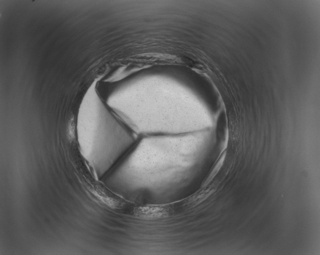 X0000082970095200702230018