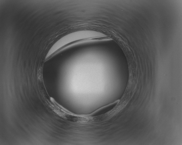 X0000082970096200702230018