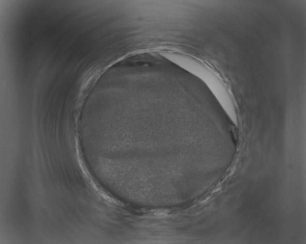 X0000082970097200702230017