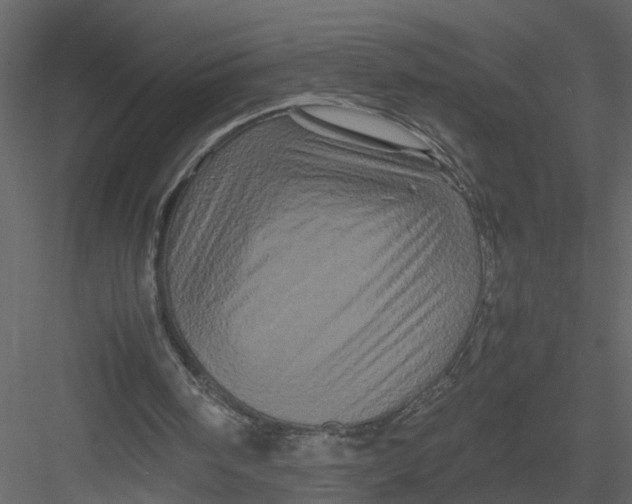 X0000082970098200702230017