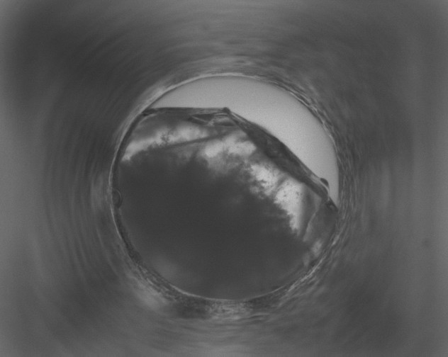 X0000082970099200702230017