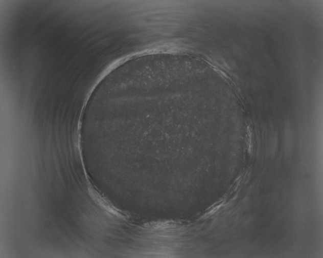 X0000082970100200702230017