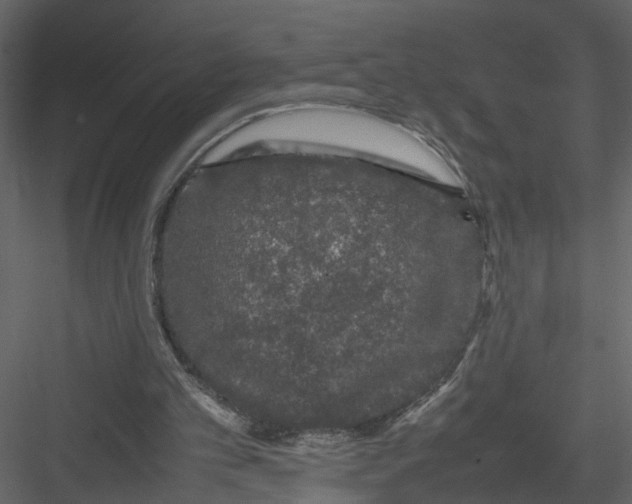 X0000082970101200702230017