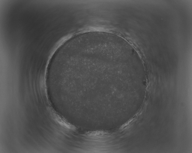 X0000082970104200702230017