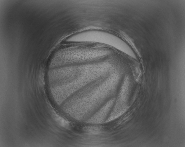 X0000082970106200702230017