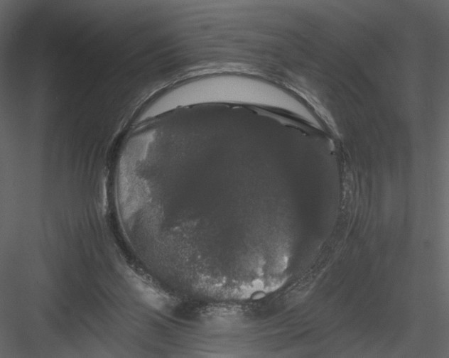 X0000082970110200702230017