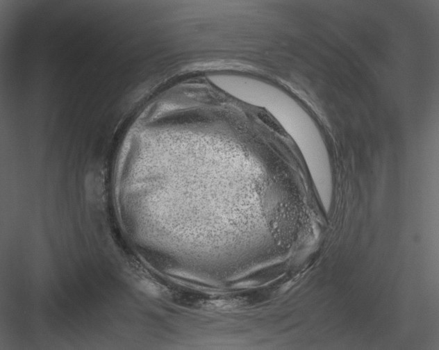 X0000082970111200702230017