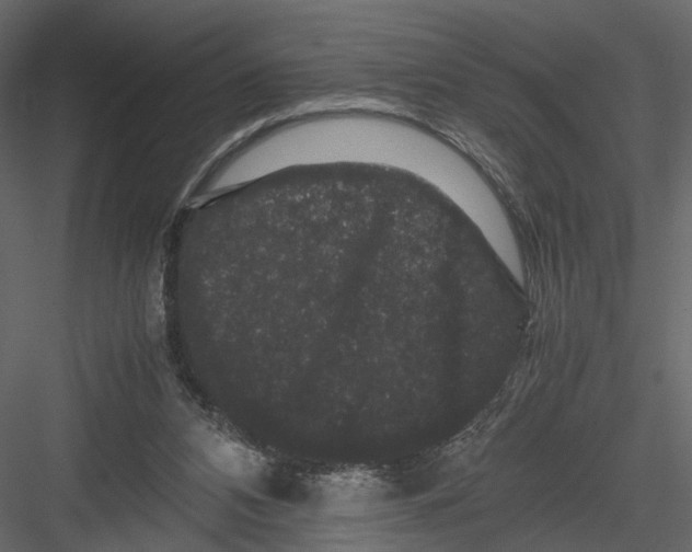 X0000082970112200702230017