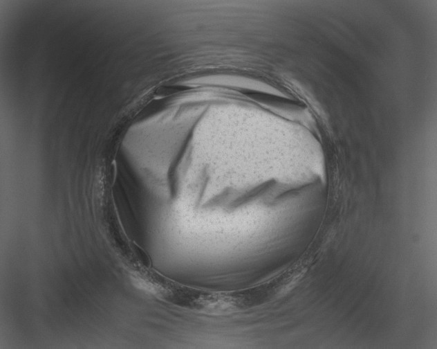 X0000082970113200702230017