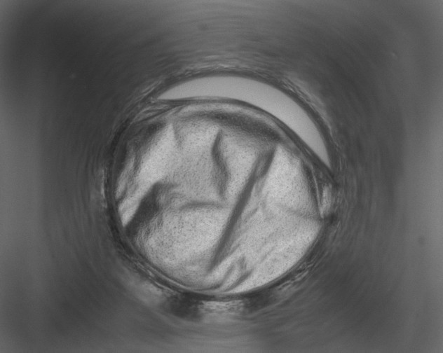 X0000082970115200702230017