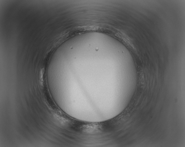 X0000082970118200702230017