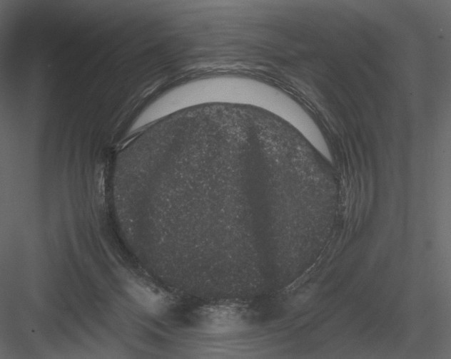 X0000082970120200702230017